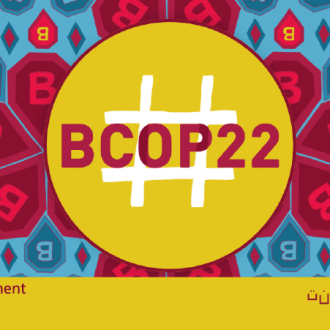 COP22